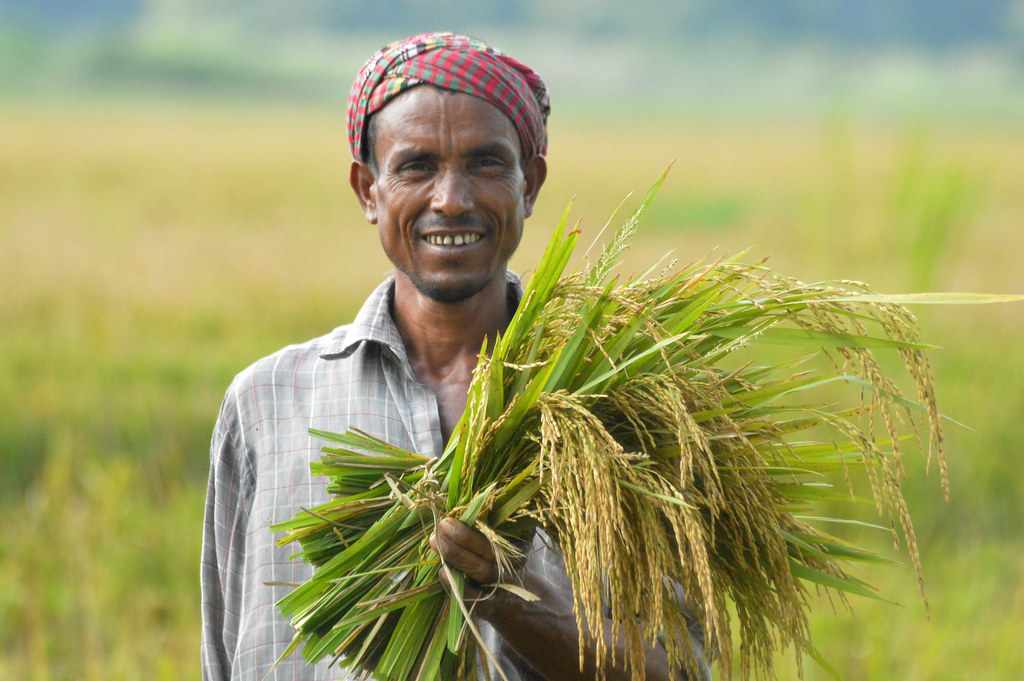 Farmer